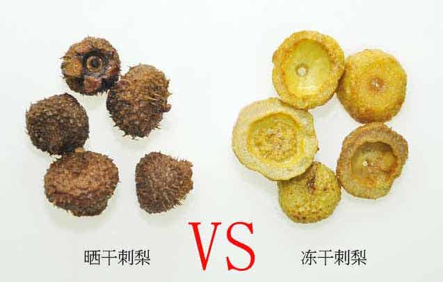 刺梨凍干
