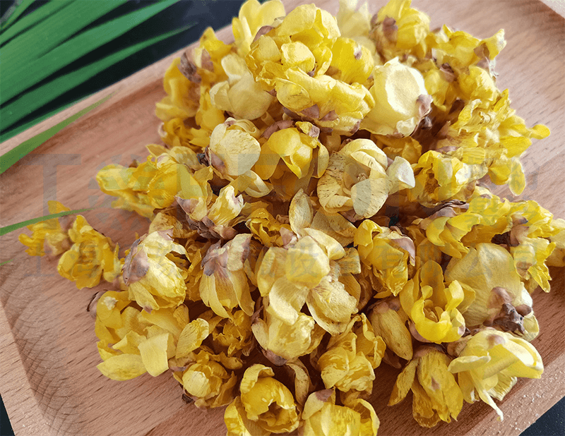 臘梅花凍干，食品凍干機(jī)應(yīng)用于臘梅花凍干案例