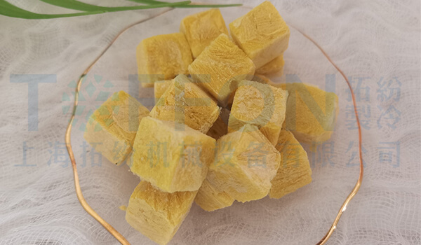 寵物食品凍干，小型凍干機應用于寵物食品真空冷凍干燥