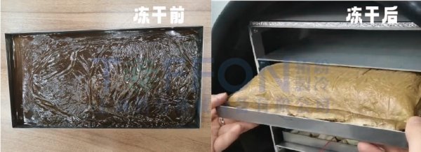 圖片 3.png