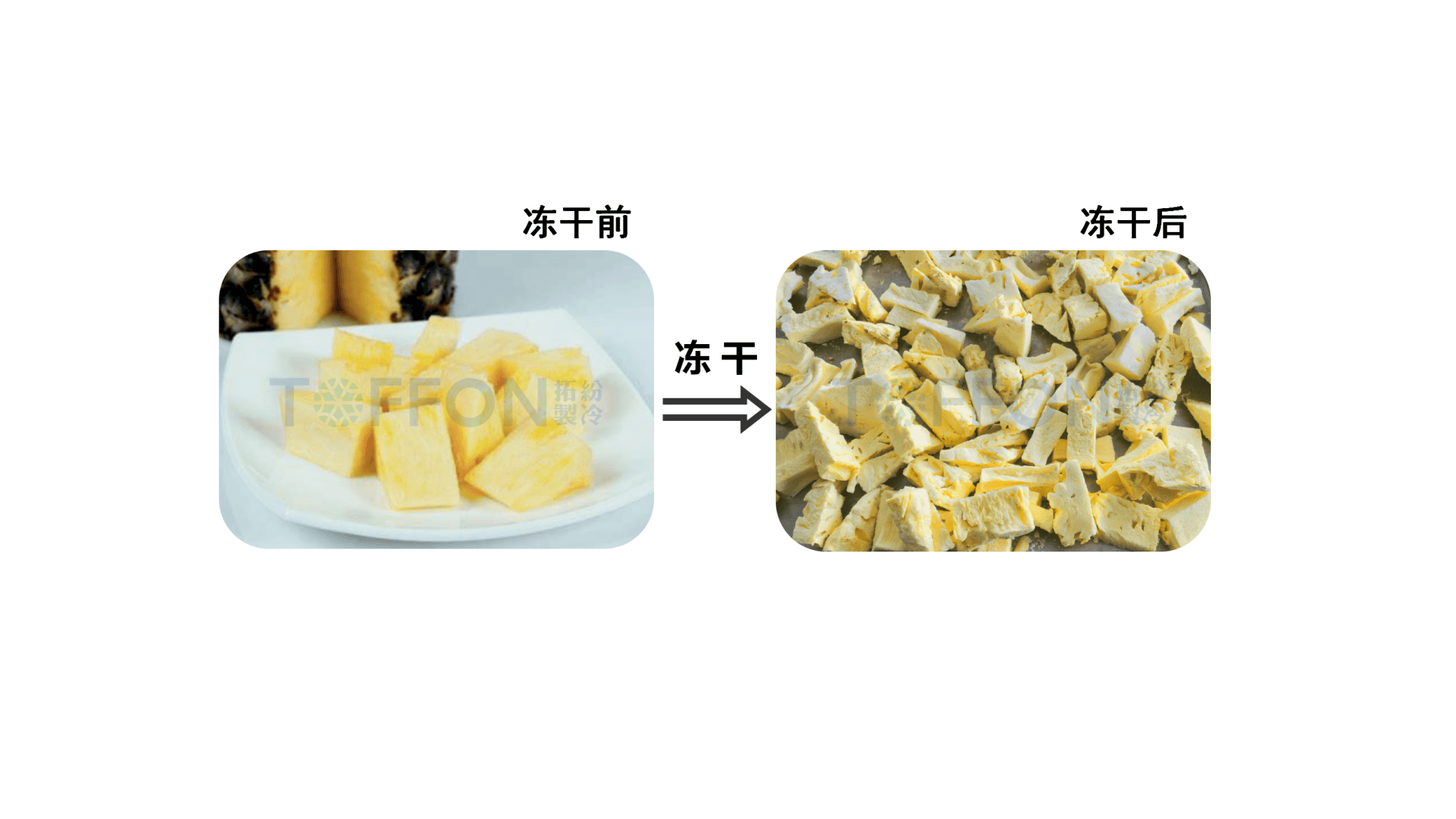 圖片 2.png
